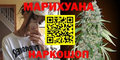 PSILOCYBIN Кунгур