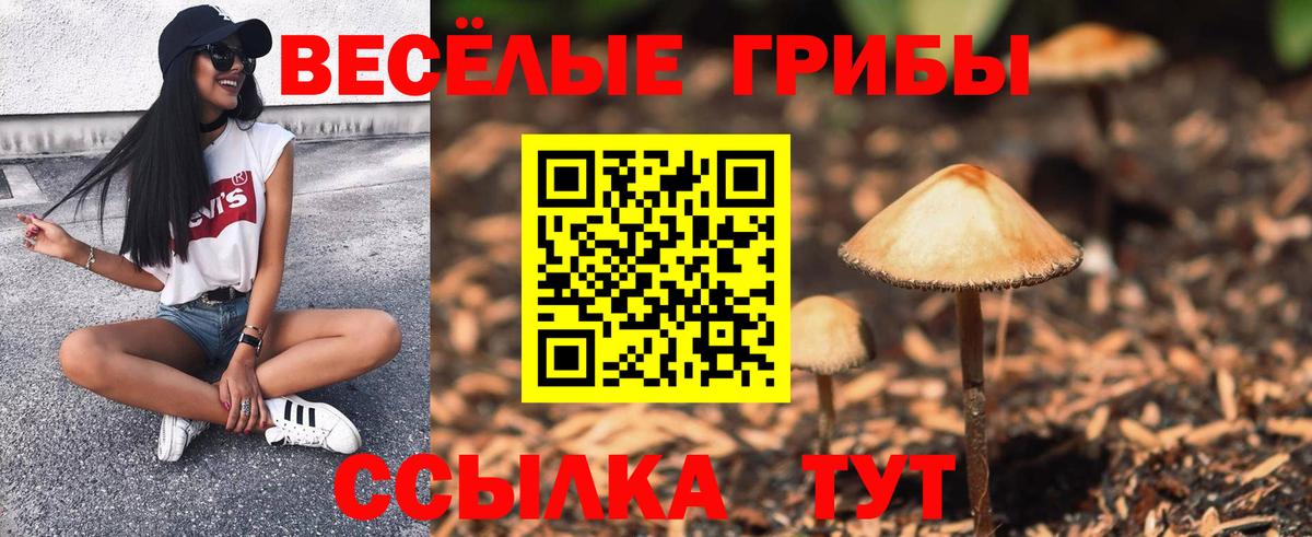 Псилоцибиновые грибы Magic Shrooms  Вход с VPN  Знаменск 